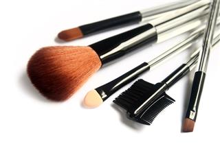 Various Make Up Brushes