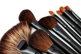 Make Up Brushes
