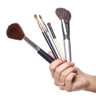 Professional Make Up Brushes