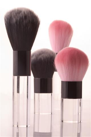 Make Up Brushes