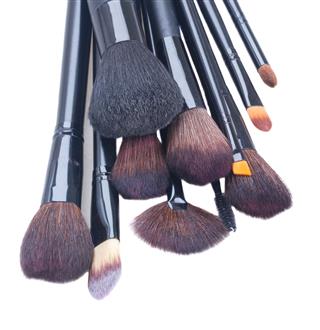 Make Up Brushes