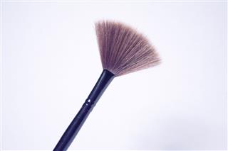 Make Up Brush