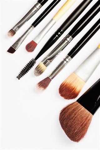 Make Up Brushes