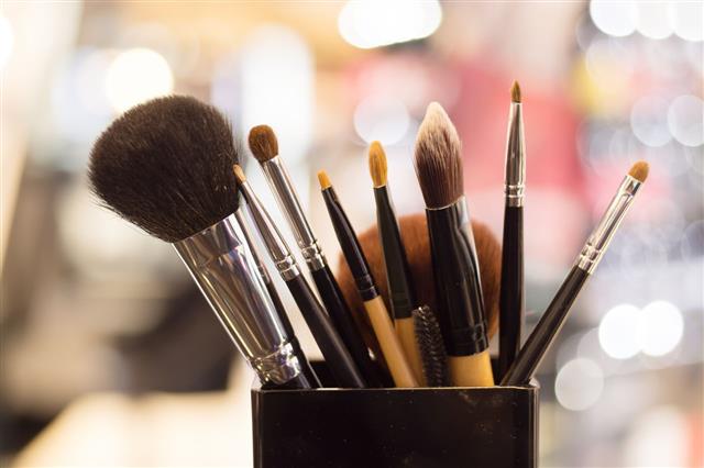 Professional Makeup Brush