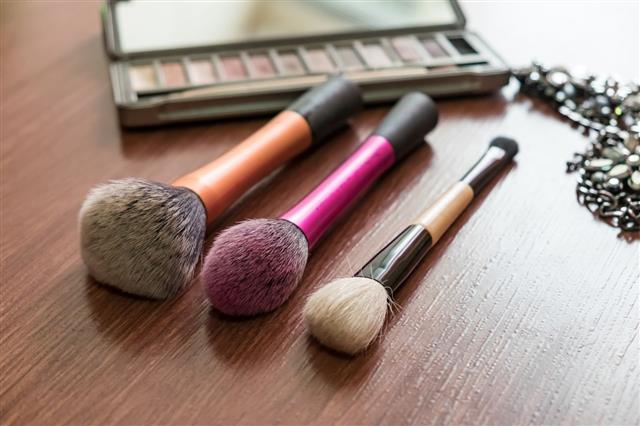 Make Up Brush