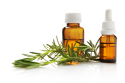 rosemary oil