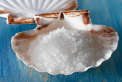 sea salt shell