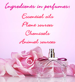 Perfume Ingredients