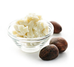 Shea Butter Vs. Cocoa Butter