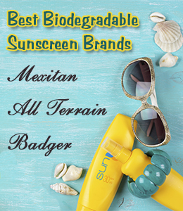 Most Popular Biodegradable Sunscreen Brands