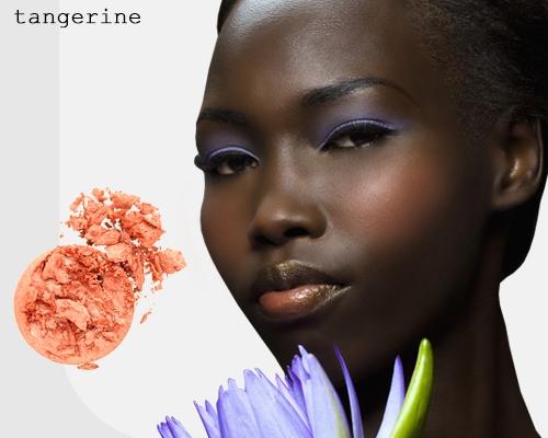 Ebony skin tone