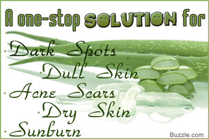 Aloe Vera Gel for Face
