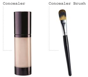 Concealer and brush